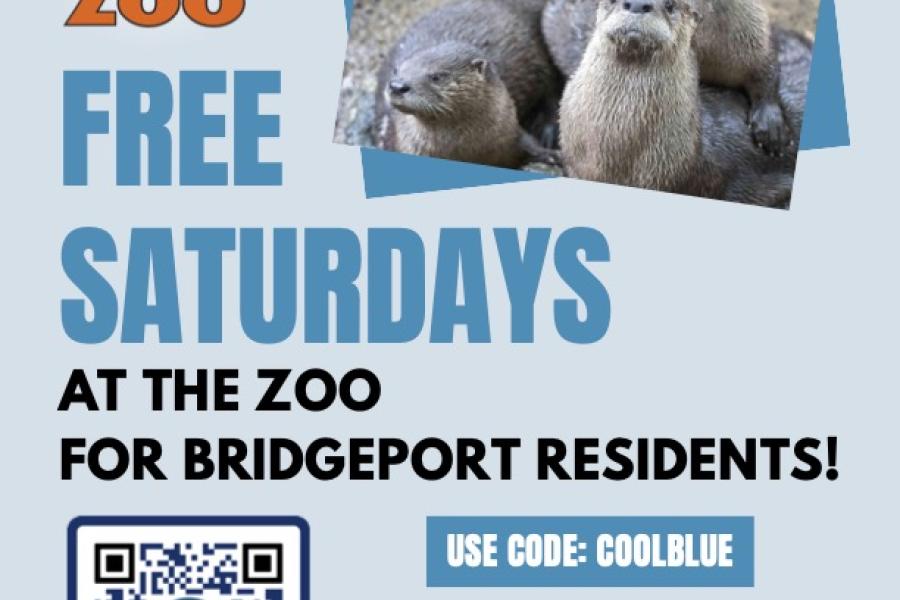 Flyer for Connecticut's Beardsley Zoo's "Cool Blue" Program, which offers free Saturday admission for Bridgeport residents until June 29, 2024