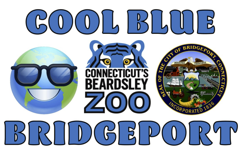 Cool Blue at Bridgeport's Zoo
